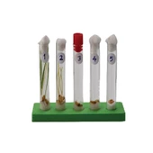 DENEY SETI CIMLENME - 2