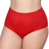 12 Adet Gümüş Bayan Renkli Ribana Bato Külot 3041 thumbnail 4