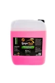 Jant Temzileyici Ve Parlatıcı 5lt - 2