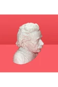 3D Albert Einstein Büstü Dekoratif Obje - 5