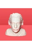 3D Albert Einstein Büstü Dekoratif Obje - 8