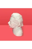 3D Albert Einstein Büstü Dekoratif Obje - 7