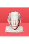 3D Albert Einstein Büstü Dekoratif Obje - 3