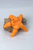 3d Hareketli Deniz Yıldızı Oyuncak - Turuncu thumbnail 2