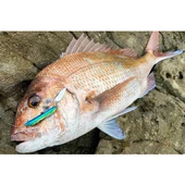 BlueBlue Metal Shalldus 6.7 CM 45G Kaşıklı Jig Yem  07 thumbnail 2