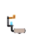 EMXTECH  Samsung Galaxy A520 Home Tuş Bordu Filmi Flex Gold - 1