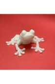 3d Hareketli Kurbağa Figürlü Oyuncak - Beyaz thumbnail 1