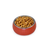 Mikopet Organik Seramik Mama Kabı Kiremit - 5