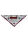 DIGERUI Geoderik Üçgen Cetvel 32cm / TR-500 - 5