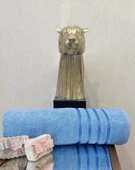 NİVEMESHOME POLOLİFE MAVİ BANYO HAVLUSU - 2