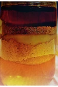 OZMUŞ BAL   Arı Atomu Arı Sütü Polen Propolis Bal Karışımı 1kg - 1