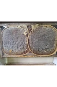 OZMUŞ BAL   Sivas Ozmuş Köyünden Gerçek Karakovan 1,2kg - 1