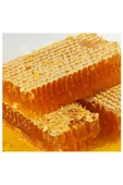 Taşlı Geçit   Organik Çiçek Petek Balı (1 Kg) - 1