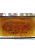 OZMUŞ BAL   Polen Petek 3kg - 1