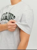Jack & Jones Jjejosh Tee Ss Crew Neck Noos Erkek T-Shirt thumbnail 4