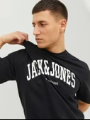 Jack & Jones Jjejosh Tee Ss Crew Neck Noos Erkek T-Shirt thumbnail 5