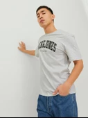 Jack & Jones Jjejosh Tee Ss Crew Neck Noos Erkek T-Shirt thumbnail 5
