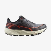 Salomon Thundercross Gtx Erkek Koşu Ayakkabısı - 1