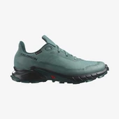 Salomon Alphacross 5 Gtx Erkek Koşu Ayakkabısı - 1