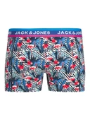 Jack & Jones Jaclakeland Trunk Erkek Boxer - 2