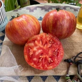 Nadir Çizgili Big Cheef Stripes Domates Tohumu  (15 tohum) - 1