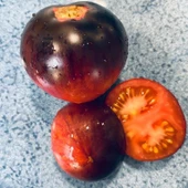 Pomme Dor De Saint Jean De Beaure  Domates Tohumu(15 tohum) - 1