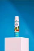 Velavit Viva DetX 5 Shot - 4