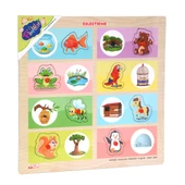 ONY-363-364 Ahşap Tutmalı Eşleştirme Hangi Hayvan Nerede Yaşar -Onyıl - 1