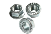 Altıköşe Flanşlı Somun M10 - 10 Adet - 1