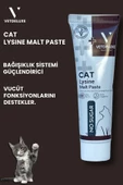 Lysine Malt Göz Sağlığı ve Solunum Yolu Destekleyici Kedi Malt Macunu 100 Gr - 2