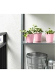 Saksı  Ikea Sommar 2019 9 cm - 3