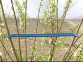 Dal Açma Aparatı 50 Cm - 1