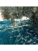 Titanium Zeytin Toplama Filesi 75'Lik 6*12 Metre Gölgelik File - Yeşil - Sergenlik - Zeytin Sergisi - Zeytin Yaygısı thumbnail 1