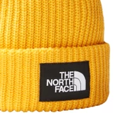 The North Face Salty Lined Beanie Unisex Bere - 2