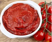 Domates Salçası 1 kg - 1