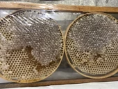 Bal Petek Hizan Karakovan 1300/1500gr - 1