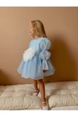 Rose Şifon Kız Çocuk Parti Elbisesi - 2