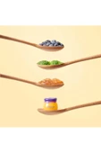 FRUDIA Blueberry Dudak Balmı Nemlendirici 10 gr - 5