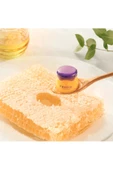 FRUDIA Blueberry Dudak Balmı Nemlendirici 10 gr - 2