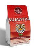 Sumatra Çekirdek Kahve (Single Origin) 250 gr - 1