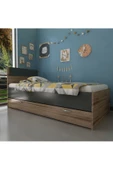 Myniture Home & Living Trend Yavrulu Karyola Q4010-3 Antrasit Çırağan - 2