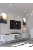 Myniture Home & Living Festival Tv Sehpası ve Konsol Beyaz Silver S-SET-1-1 thumbnail 2