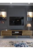 Myniture Home & Living Festival Tv Sehpası G3830-2-Y1-P1 Ceviz Gold Metal Kulp - 2