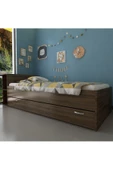 Myniture Home & Living Trend Yavrulu Karyola Q4011-1 Ceviz Ceviz thumbnail 2