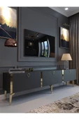 Myniture Home & Living Festival Tv Sehpası G3817-4-Y1-P1 Antrasit Gold Metal Kulp - 1