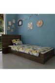 Myniture Home & Living Trend Karyola Q4020-2 Ceviz - 1
