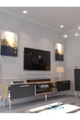 Myniture Home & Living Festival Tv Sehpası - Konsol - Orta Sehpa Ant. Çam Silver S-SET-2-6-4 thumbnail 2