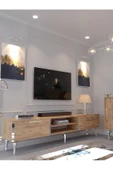 Myniture Home & Living Festival Tv Sehpası - Konsol - Orta Sehpa Çam Silver S-SET-2-6 thumbnail 2