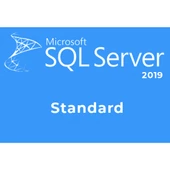 Microsoft SQL Server 2019 Standard Lisans - 1