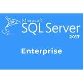 Microsoft SQL Server 2017 Enterprise Lisans - 1